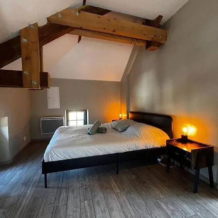 Le Medieval Dernier Etage Dans Le Centre Historique Apartment