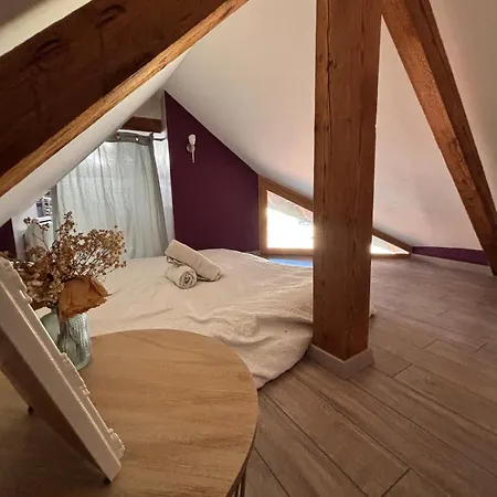 Apartment Le Medieval Dernier Etage Dans Le Centre Historique *